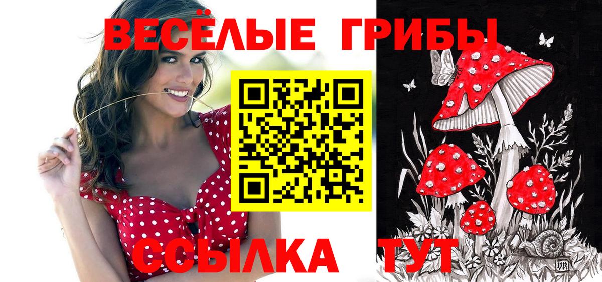 Галлюциногенные грибы GOLDEN TEACHER Омск