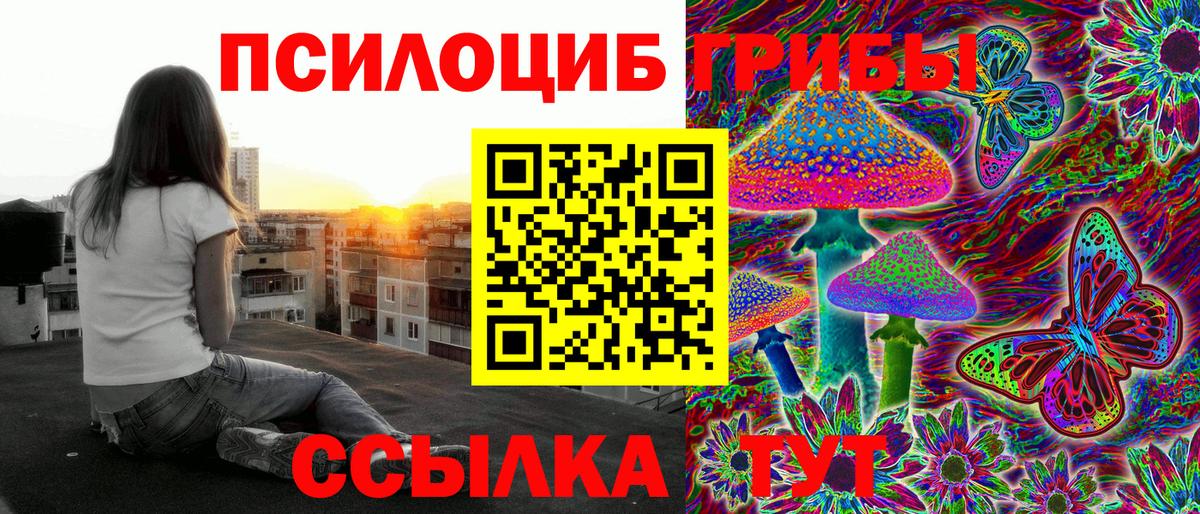 Псилоцибиновые грибы MAGIC MUSHROOMS  Вход с VPN  Омск  Псилоцибиновые грибы Cubensis 
