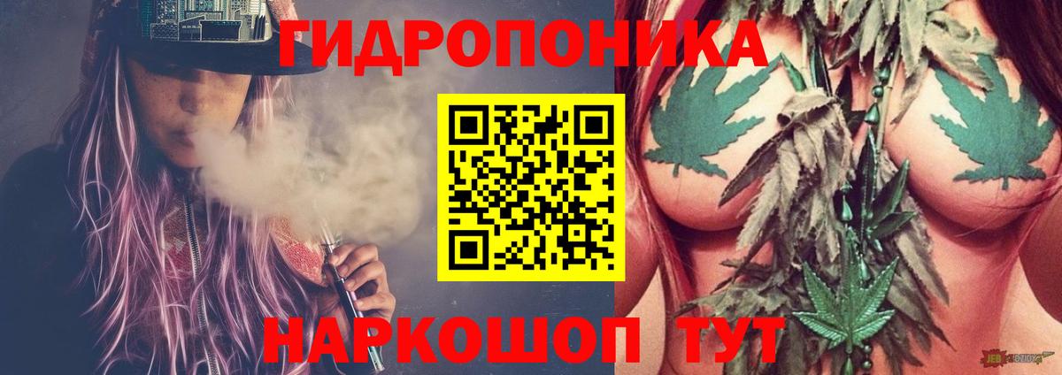 Конопля ГИДРОПОН  Вход с VPN  Каннабис OG Kush  Шишки марихуана гибрид  Конопля план  Омск 